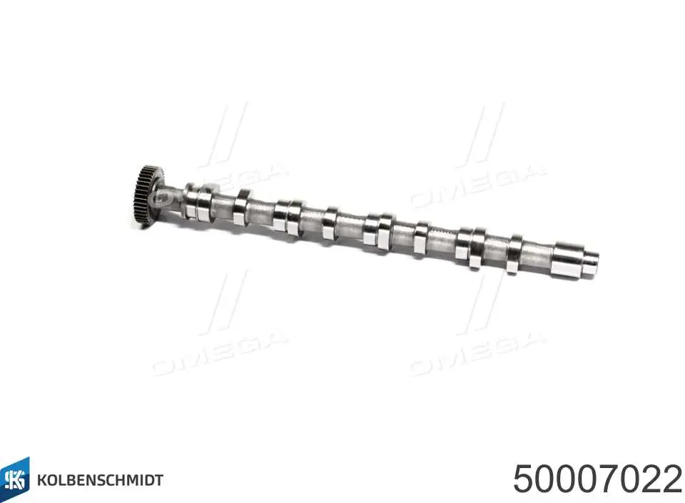 Розподільний вал двигуна випускний Kolbenschmidt 50007022 ціна, від 149.15 USD