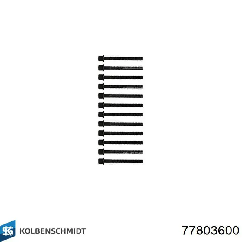  Вкладиші шатунні Volkswagen Multivan 