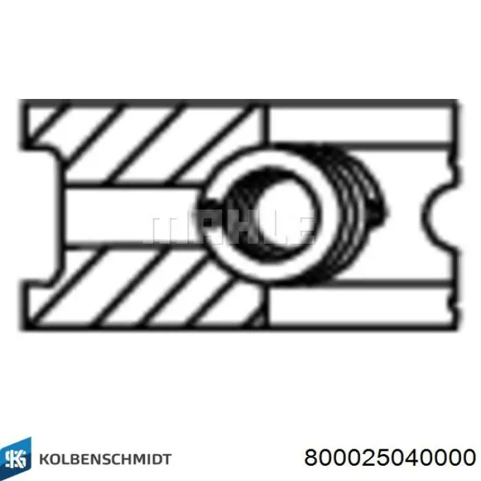 Купити 800025040000 Kolbenschmidt Маслоз'емні кільця, стандартні