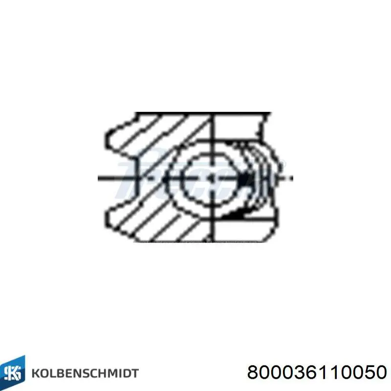 Купити 800036110050 Kolbenschmidt Кільця поршневі на 1 циліндр, 2-й ремонт (+0,50)