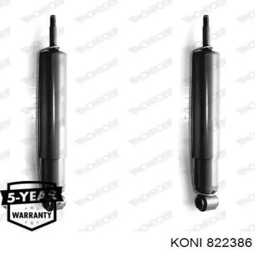 Амортизатор задній, правий Raiso RS317159 ціна, від 28.69 USD