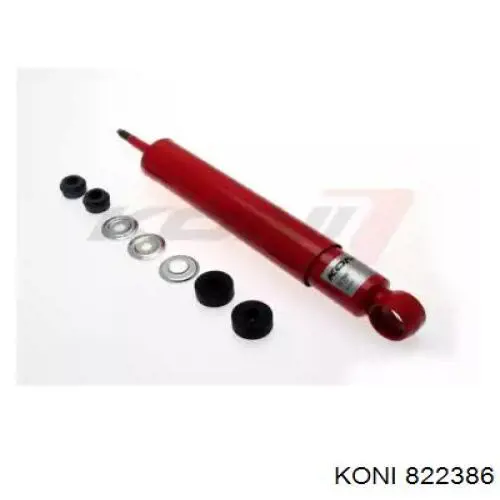 Купити RS317159 Raiso Амортизатор задній, правий