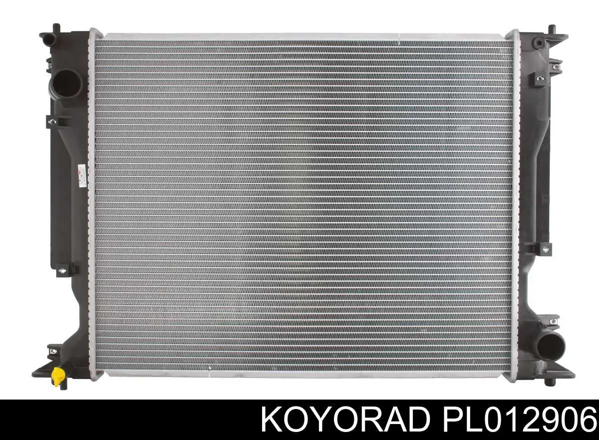 Купити RA646904K Signeda Радіатор двигуна