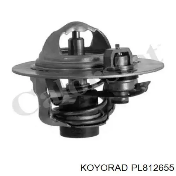 PL812655 Koyorad Радіатор охолодження двигуна