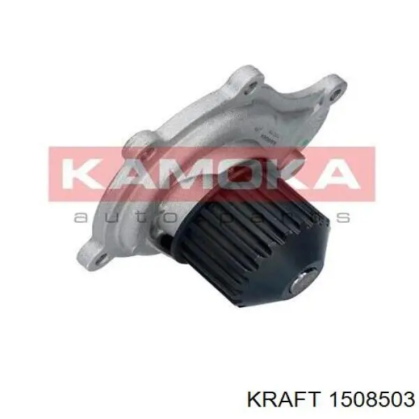 T0076 Kamoka Насос охолодження
