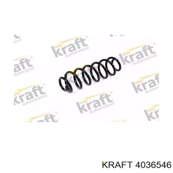 Купити CS2981R Sato Tech Задні пружини