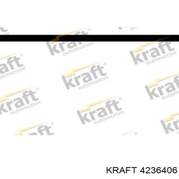 Гумка заднього стабілізатора Kautek FDBS187