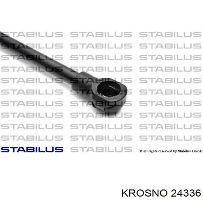 Купити 844300001R Renault (RVI) Амортизатор двері багажника