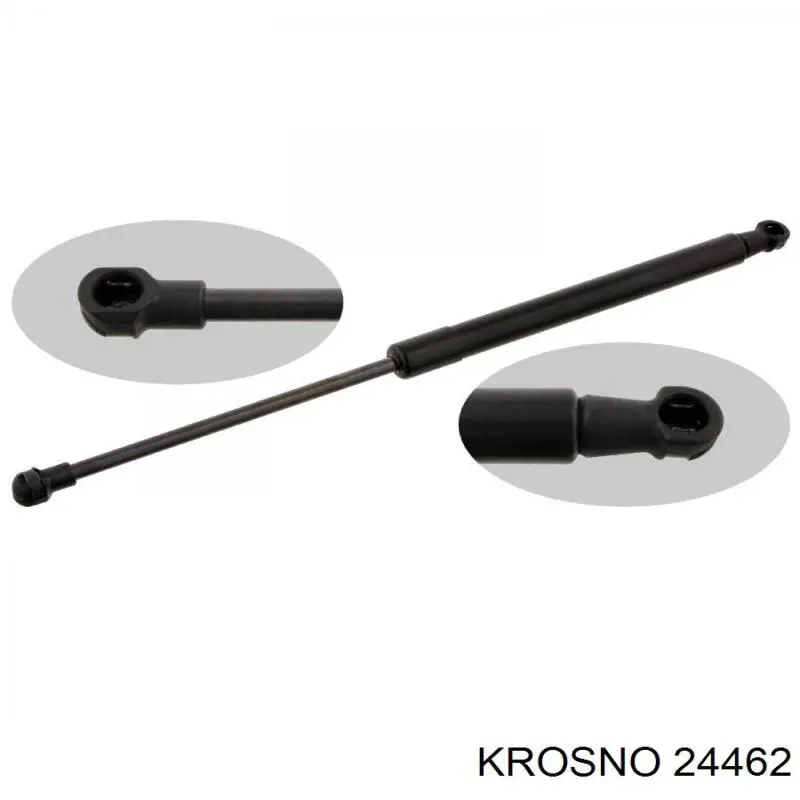 24462 Krosno 