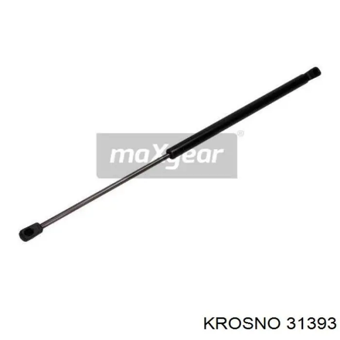 Амортизатор двері задньої Ashika ZSA90041 ціна, від 10.54 USD