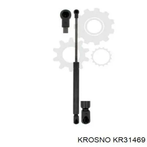 KR31469 Krosno 