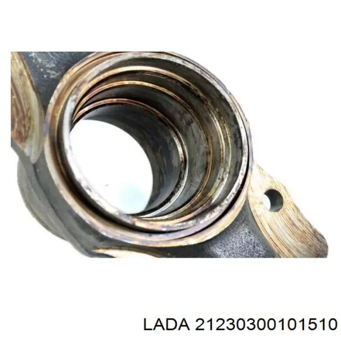  21230300101510 Lada