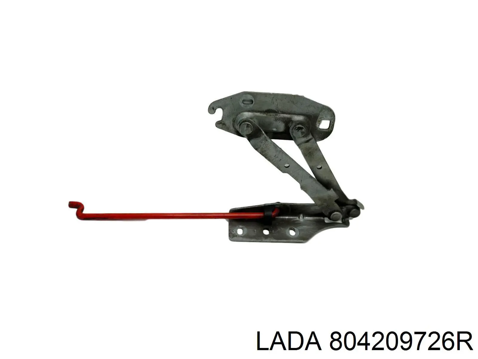 804209726R Lada Завіса передніх дверей