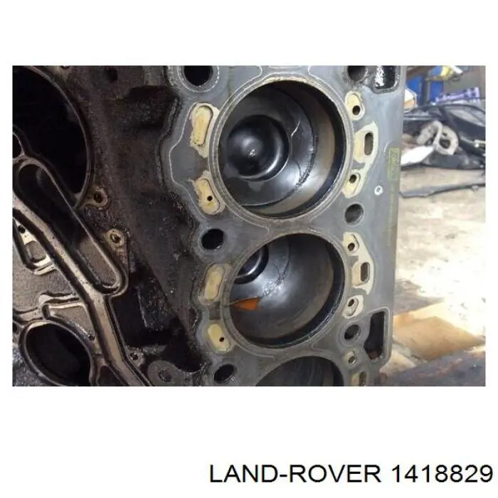  Land Rover 1418829 ціна, від 354.77 USD