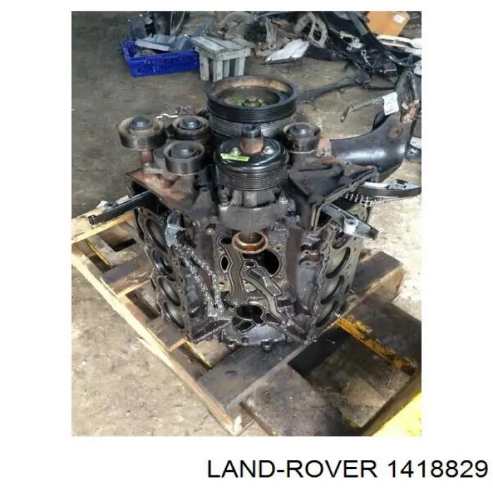 1418829 Land Rover 