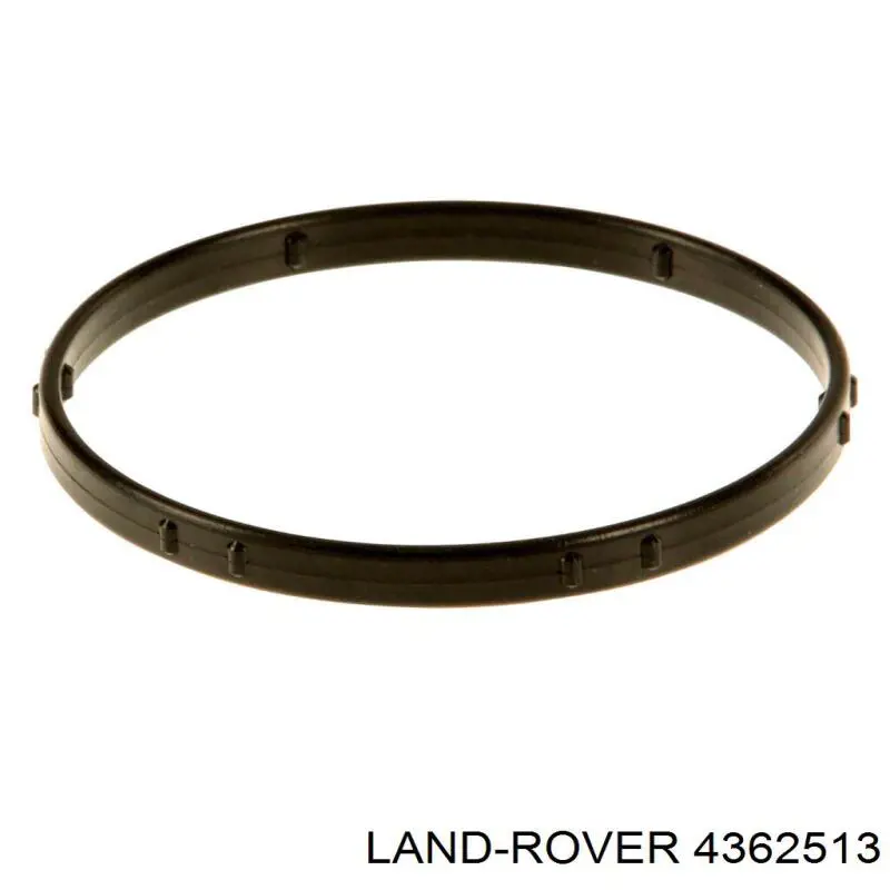 Прокладка корпусу термостата Land Rover 4362513 ціна, від 6.82 USD