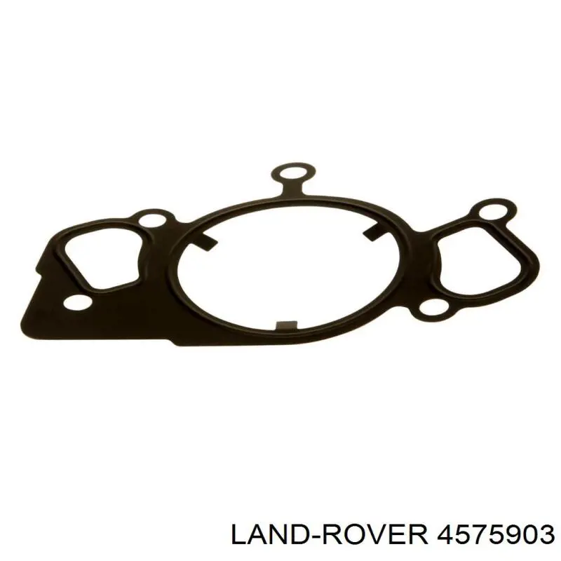 4575903 Land Rover Прокладка водяної помпи