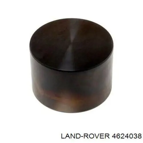 Штовхач клапана гідравлічний Land Rover 4624038 ціна, від 11.38 USD