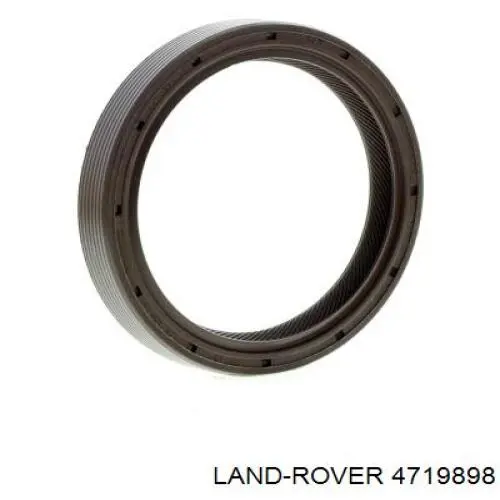 Сальник колінвала двигуна, задній Ford 83BM6701AA ціна, від 8.87 USD