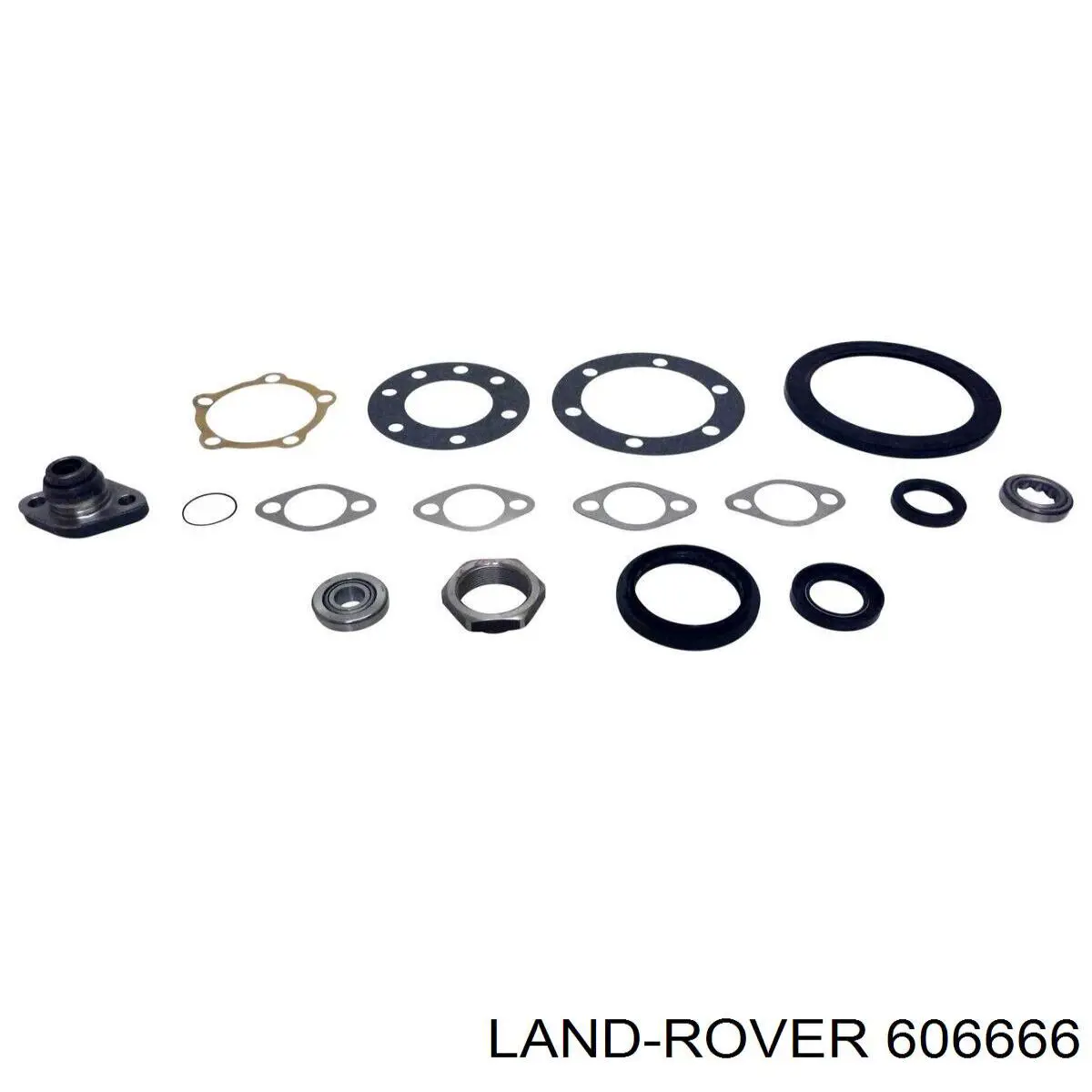 Підшипник цапфи передньої 606666 Land Rover