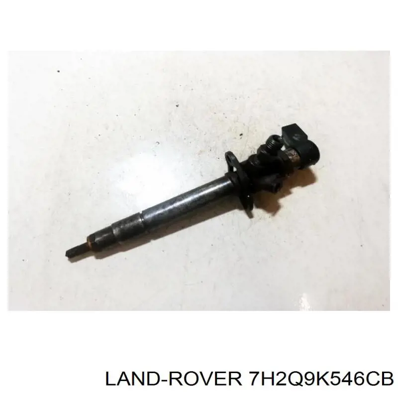 Купити LR006496 Britpart Форсунка дизельна в зборі, розпилювач + тримач