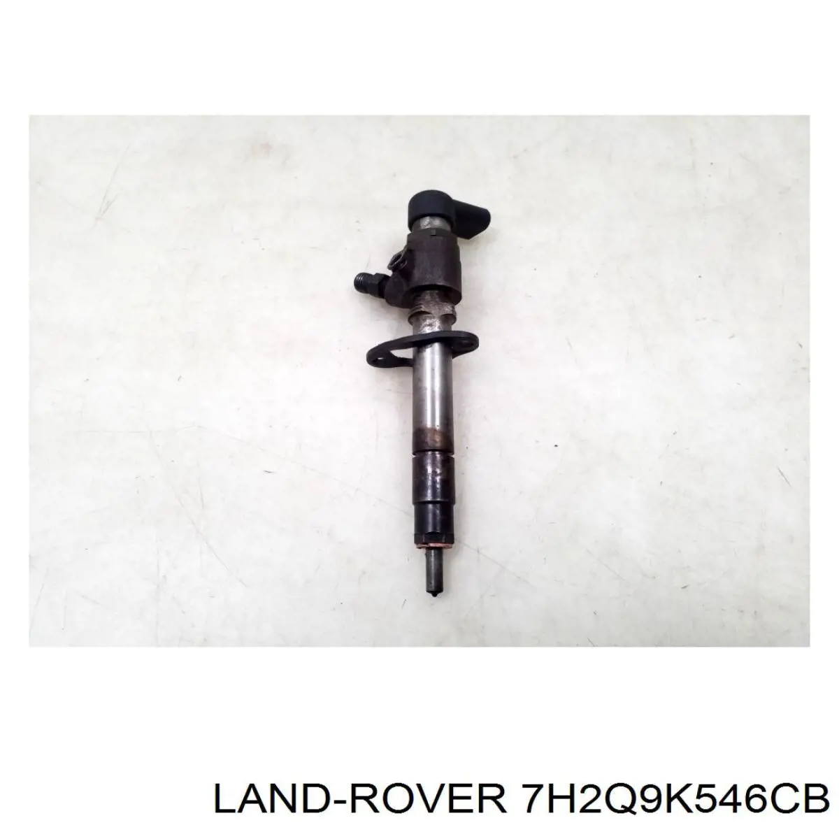 Паливні форсунки LR006496 Britpart