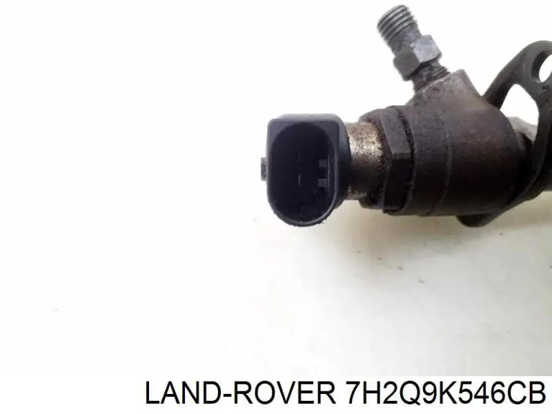 Паливні форсунки LR004564 Land Rover
