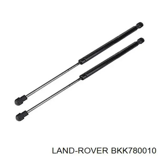 Амортизатор капота BKK780010 Land Rover