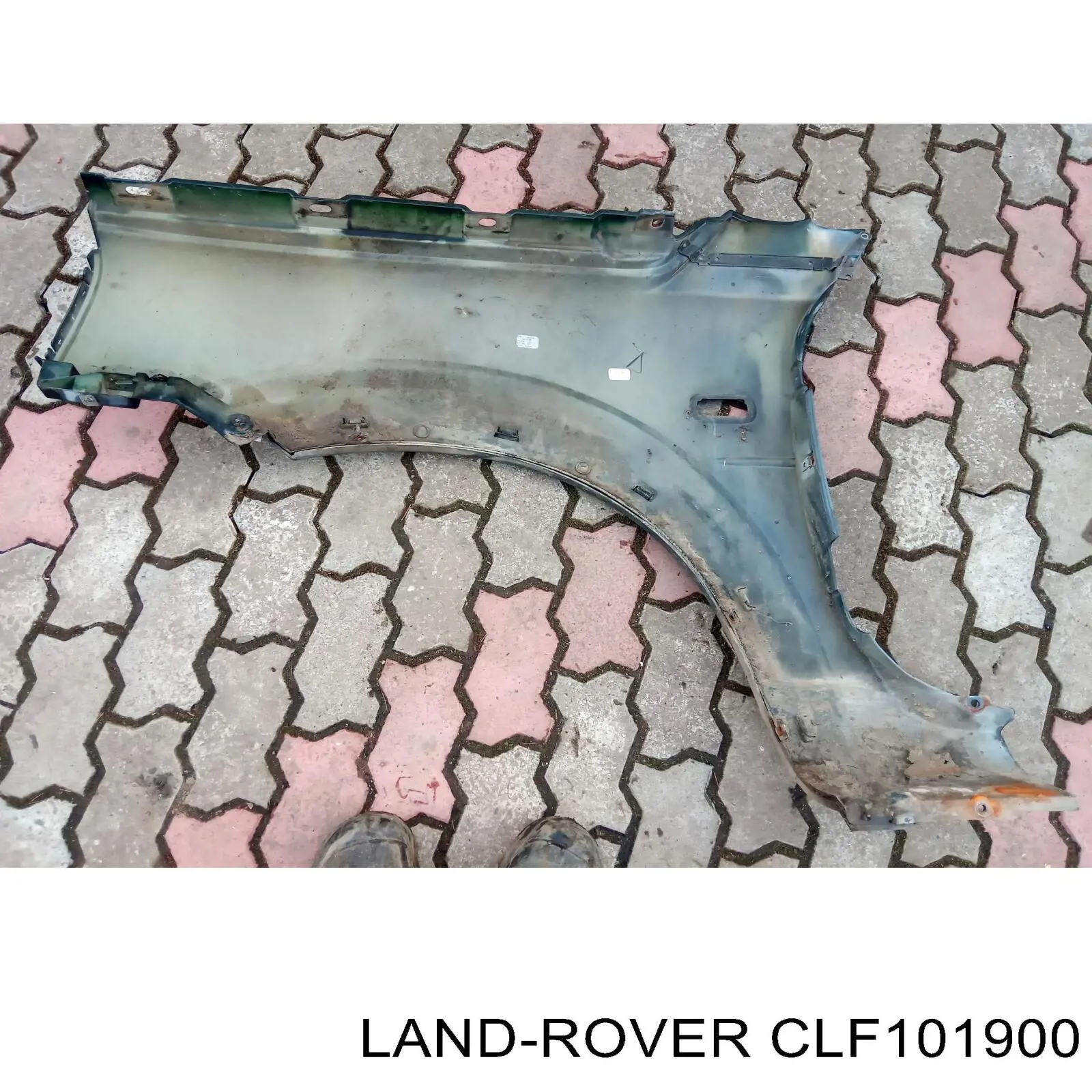 Купити CLF101900 Land Rover Підкрилок передній правий