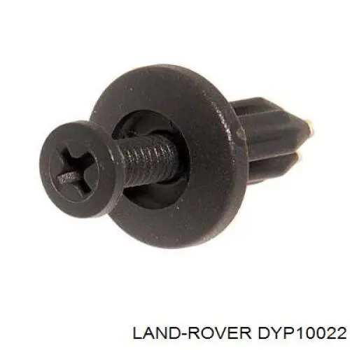  Land Rover DYP100780