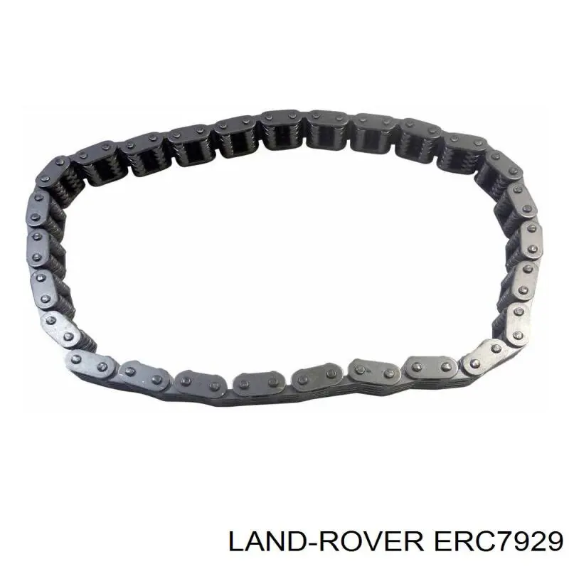 Купити Ланцюг ГРМ Land Rover Range Rover II LP, P38A