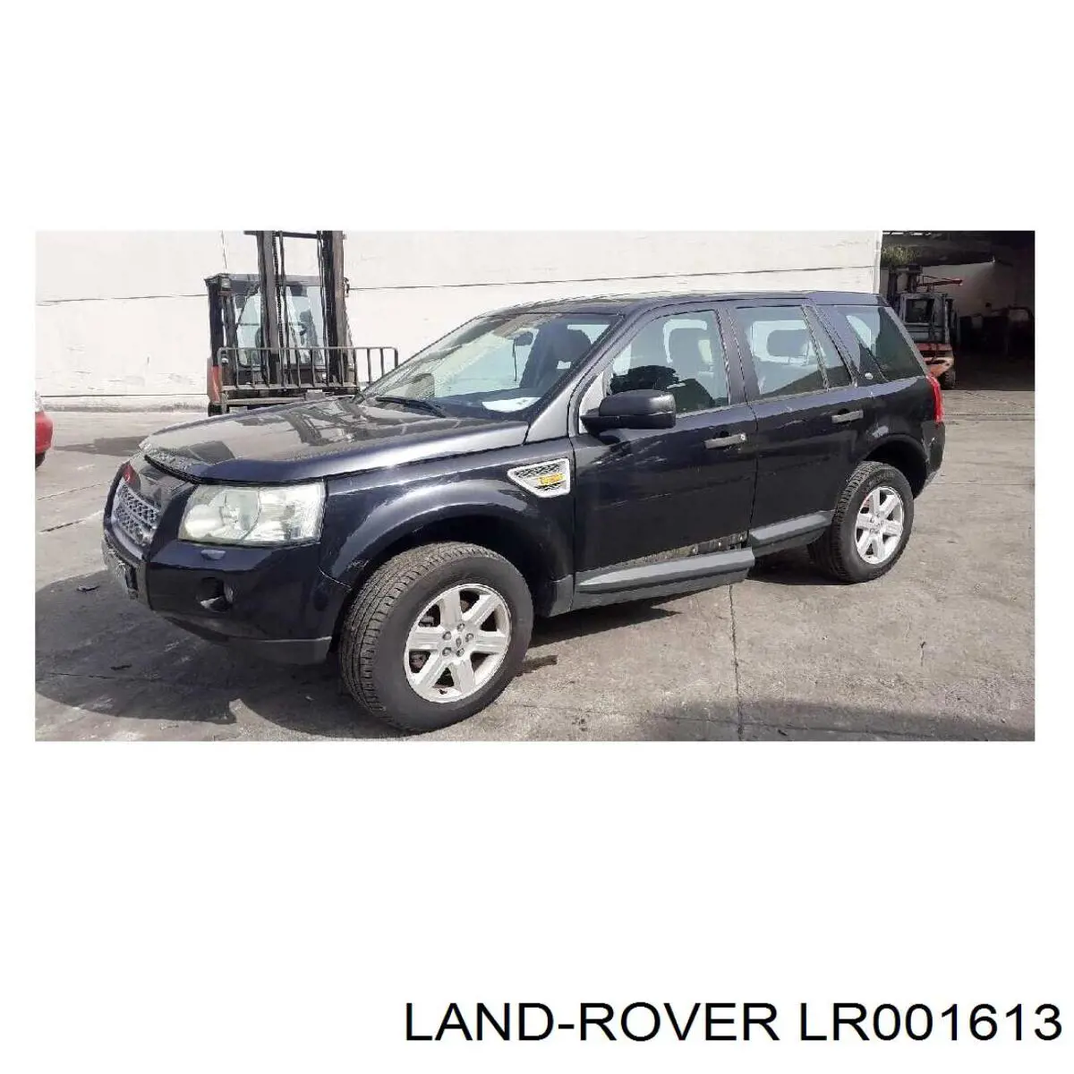 LR001613 Land Rover Двері пасажирськи задні ліві