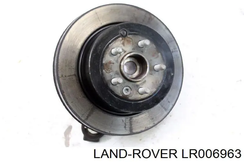 LR006963 Land Rover Цапфа поворотна ліва