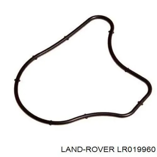 Прокладка вакуумного насосу на Land Rover Discovery (LR3)
