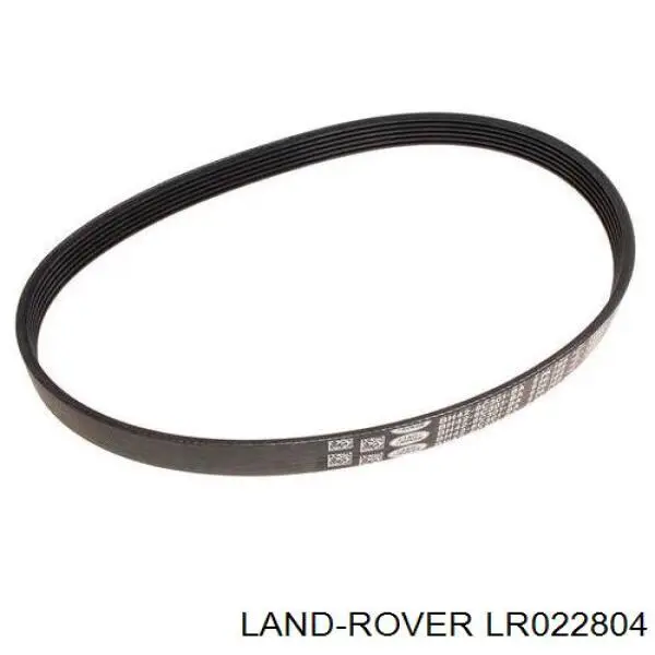 LR022804 Britpart Поліклиновий ремінь