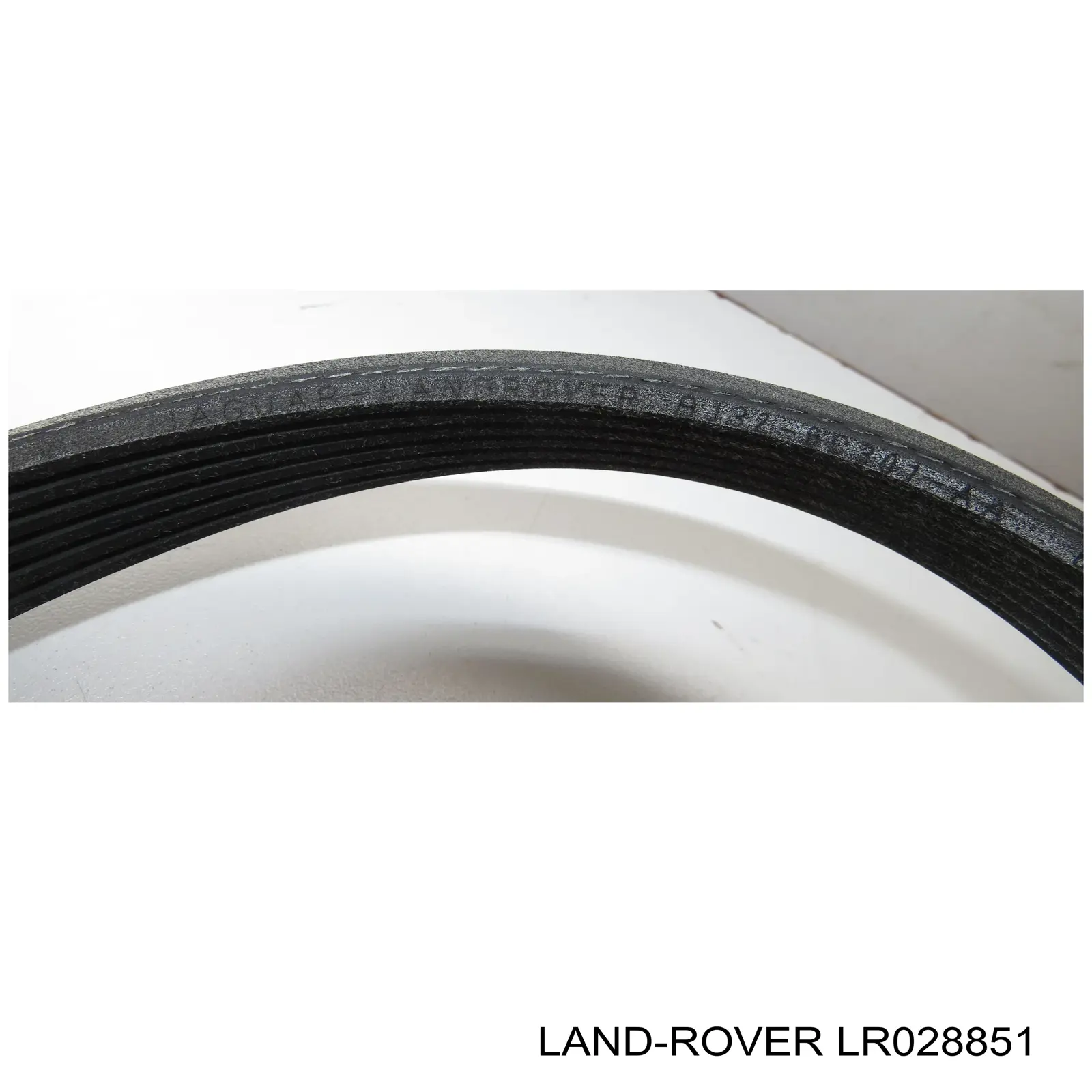 Купити LR028851 Land Rover Ремінь генератора