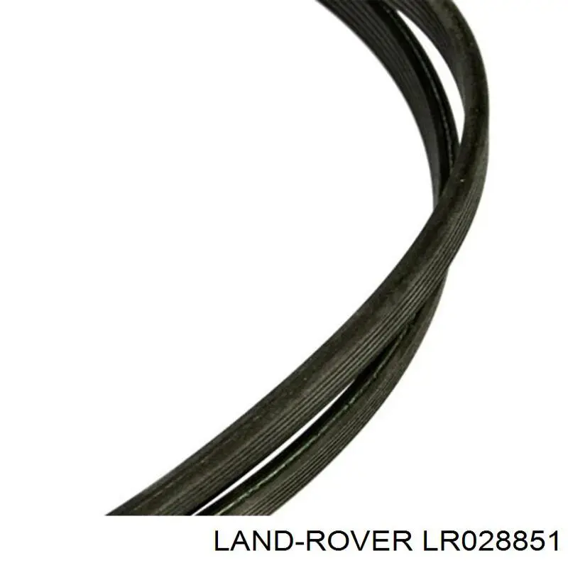 Клиновий ремінь Land Rover LR028851 ціна, від 27.72 USD