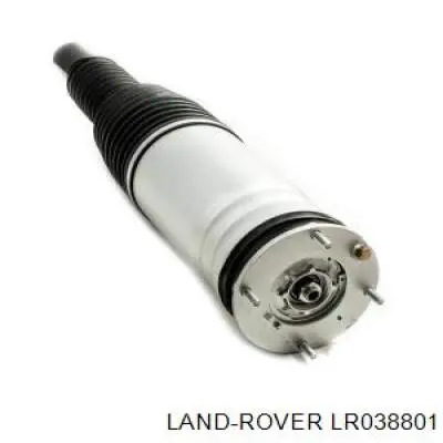 Амортизатор передній, правий LR104029 Land Rover