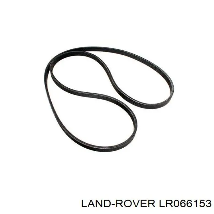 LR066153 Land Rover Поліклиновий ремінь