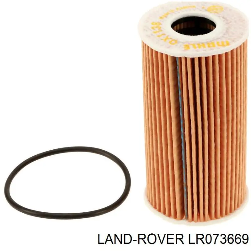 Купити LR073669 Land Rover Фільтр очищення масла відцентровий