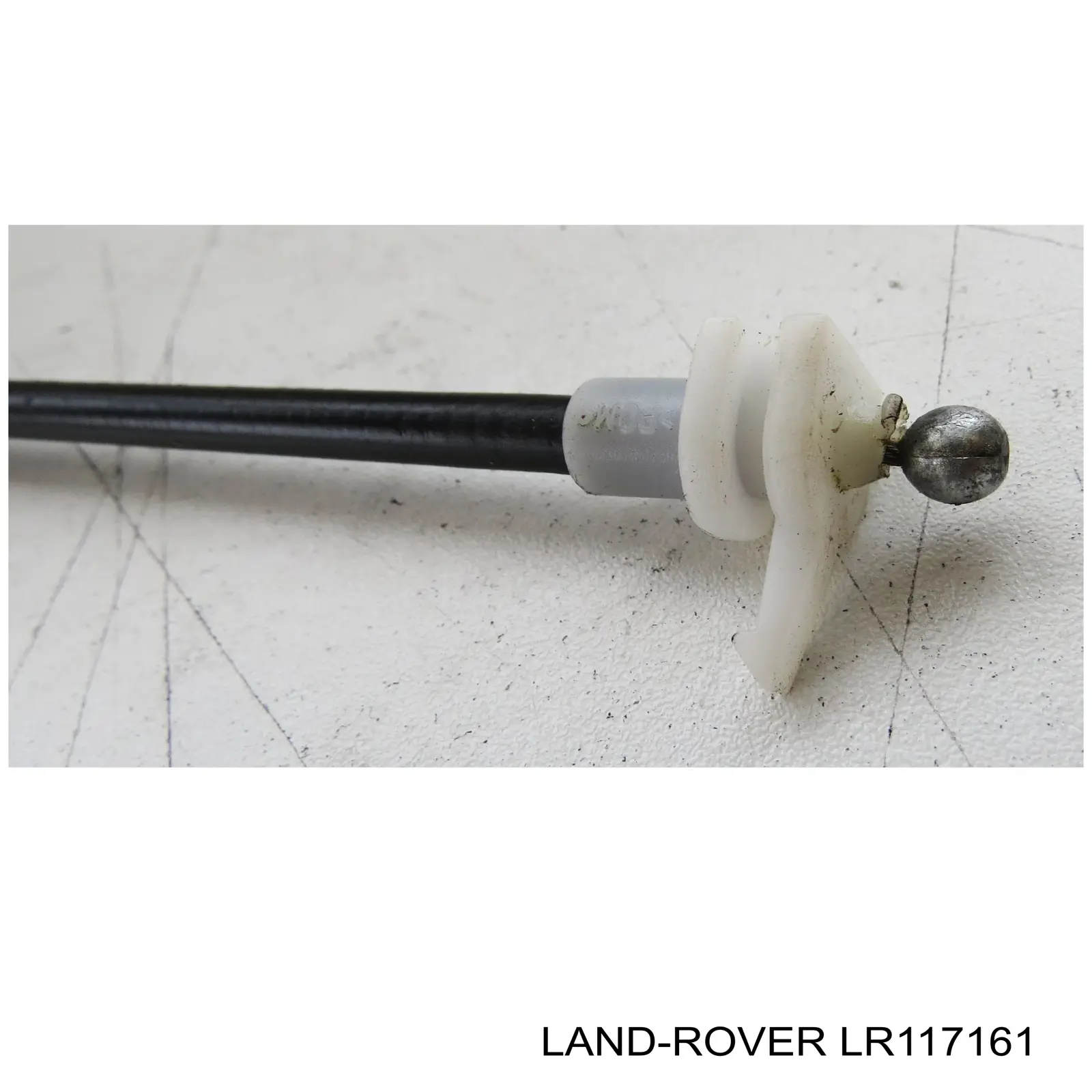  NTY EZCLR049 ціна, від 93.29 USD