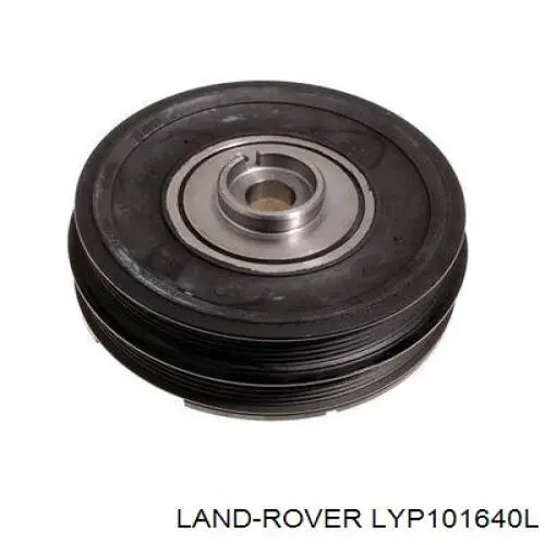  Land Rover LYP101640L ціна, від 11.04 USD