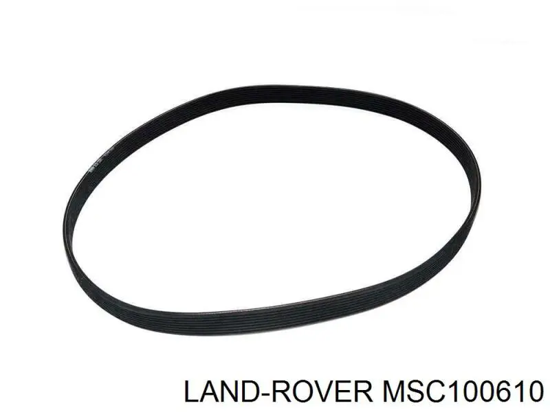 MSC100610 Land Rover Форсунка вприску палива