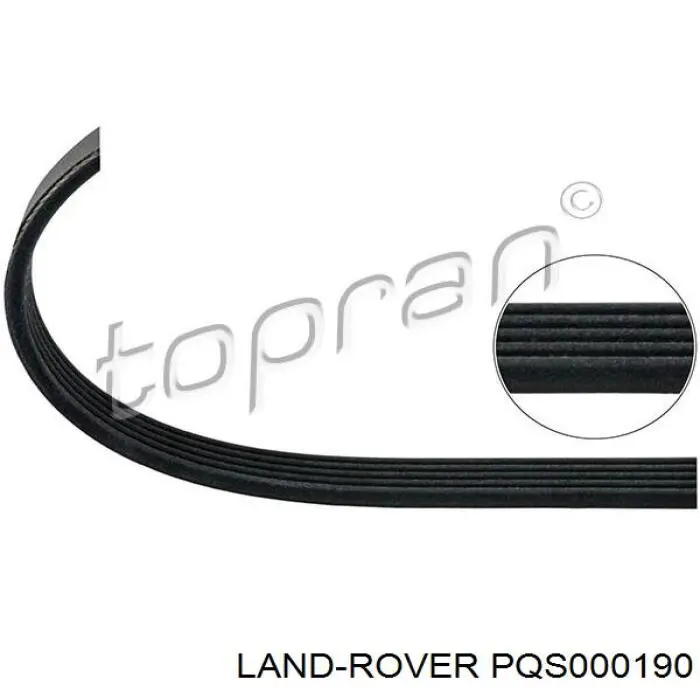 Клиновий ремінь Fiat/Alfa/Lancia 60566089 ціна, від 9.83 USD