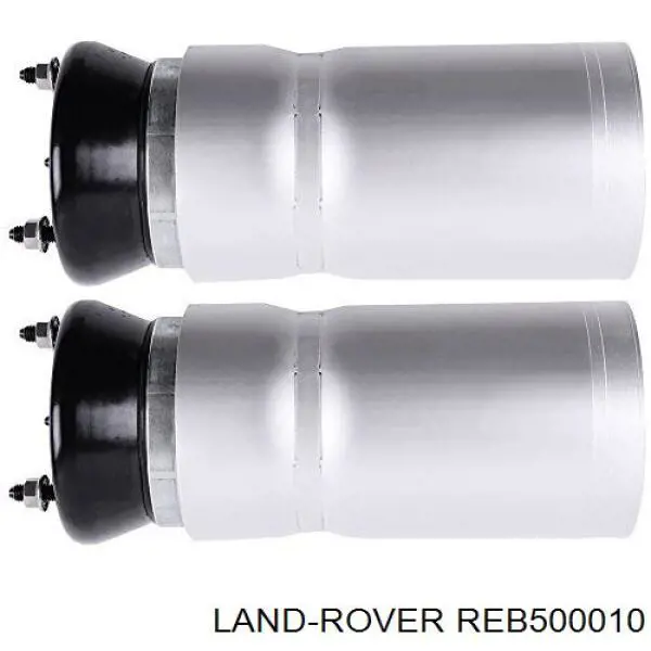 Стойка амортизатора передняя Land Rover REB500010 ціна, від 632.62 USD