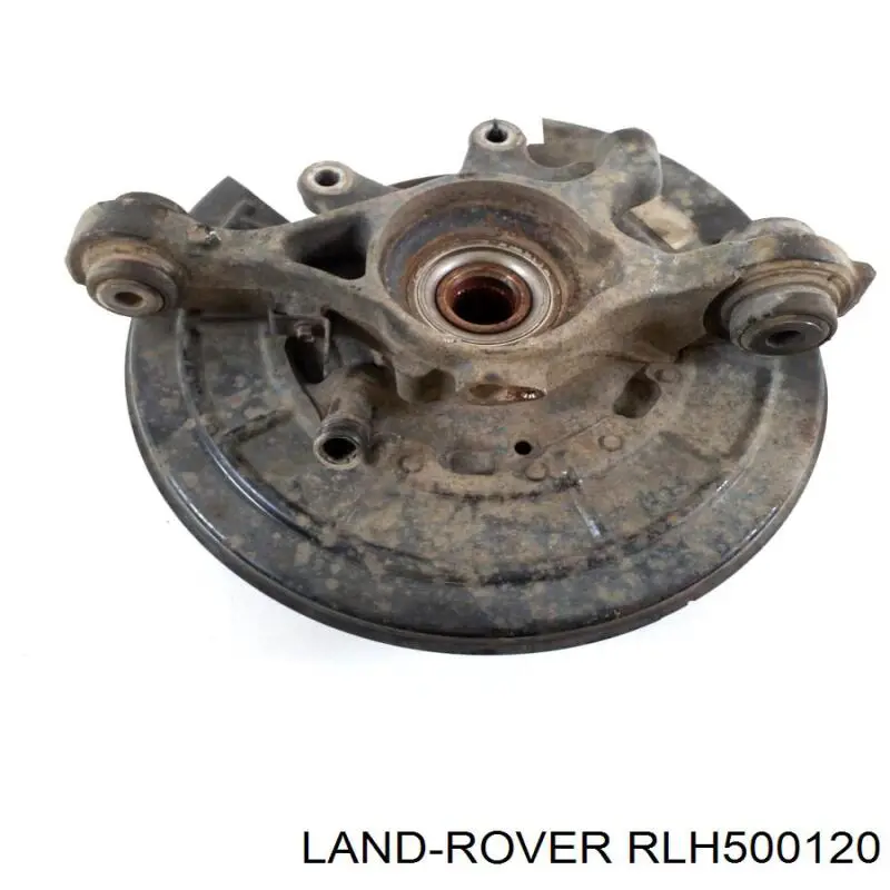 Купити RLH500120 Land Rover Цапфа - поворотний кулак заднім виходом,