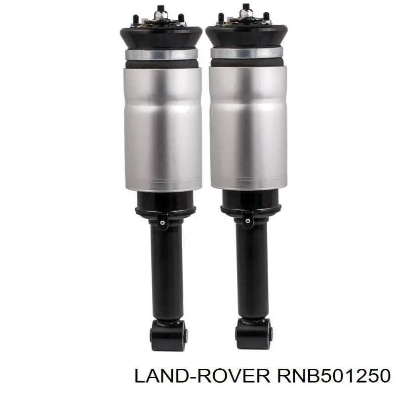 RNB501250 Land Rover амортизатор передній