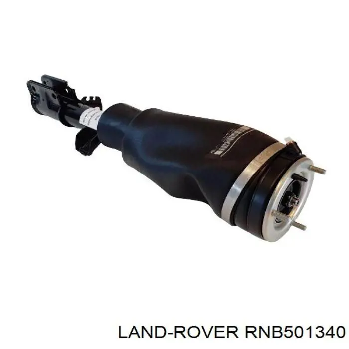 Амортизатор передній, правий Land Rover RNB501340 ціна, від 376.90 USD