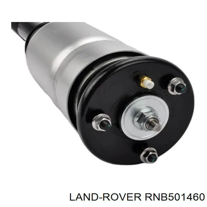 Стойка амортизатора передняя Land Rover RNB501460 ціна, від 190.04 USD