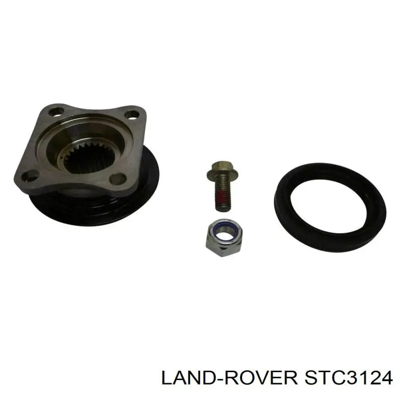 Купити STC3124 Land Rover Ремкомплект диференціалу переднього моста
